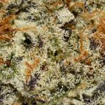 Mac Rillaz AAAA Trichomes