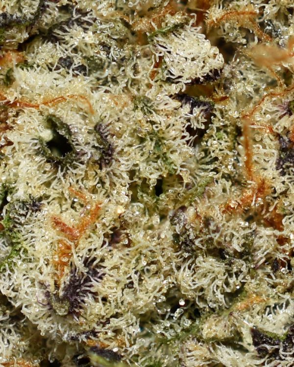 Mac Rillaz AAAA Trichomes