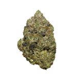 Northern Lights AAAA+