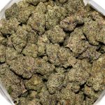 Blue Dragon AAAA Bag