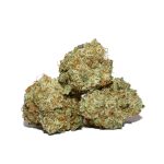 Hawaiian Dutch Popcorn AAAA