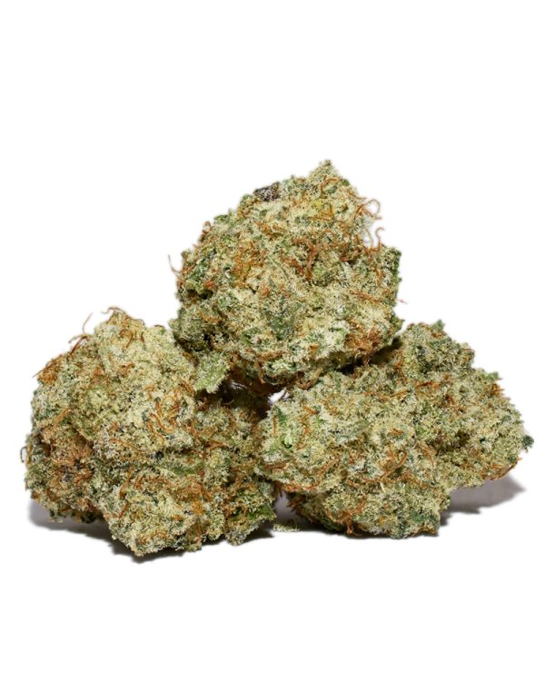 Hawaiian Dutch Popcorn AAAA