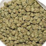 Hawaiian Dutch Popcorn AAAA Bag