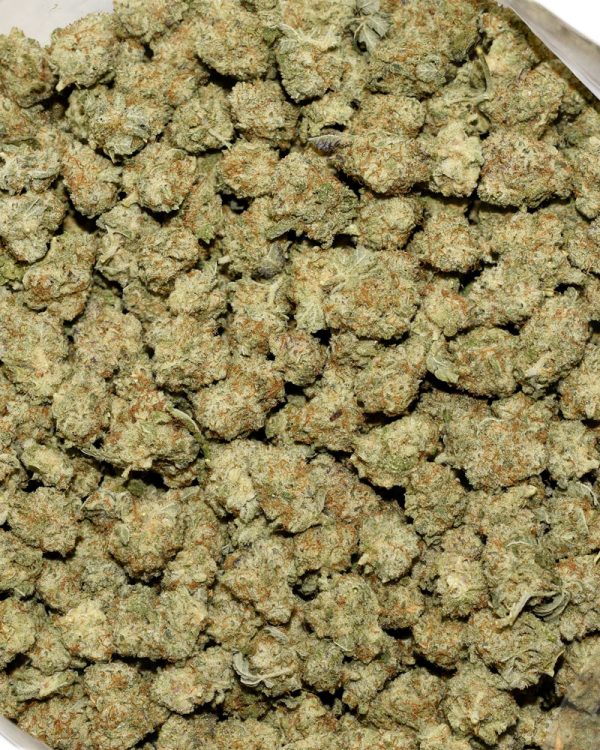 Hawaiian Dutch Popcorn AAAA Bag