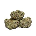 Headband OG Popcorn AAAA