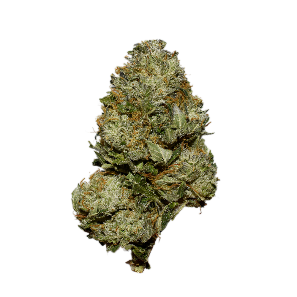 Jack 47 AA Jack 47 AA