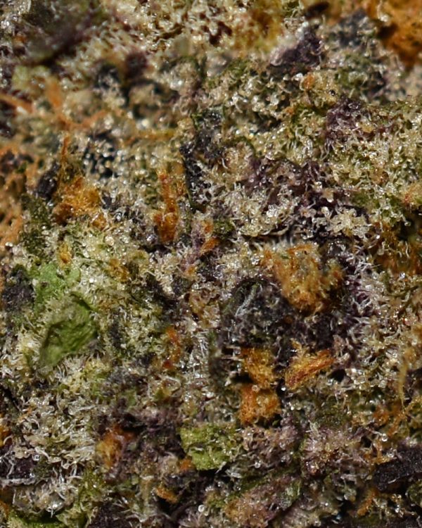 Purple Drank Breath AAAA Trichomes