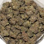 Purple Punch Popcorn AAAA Bag