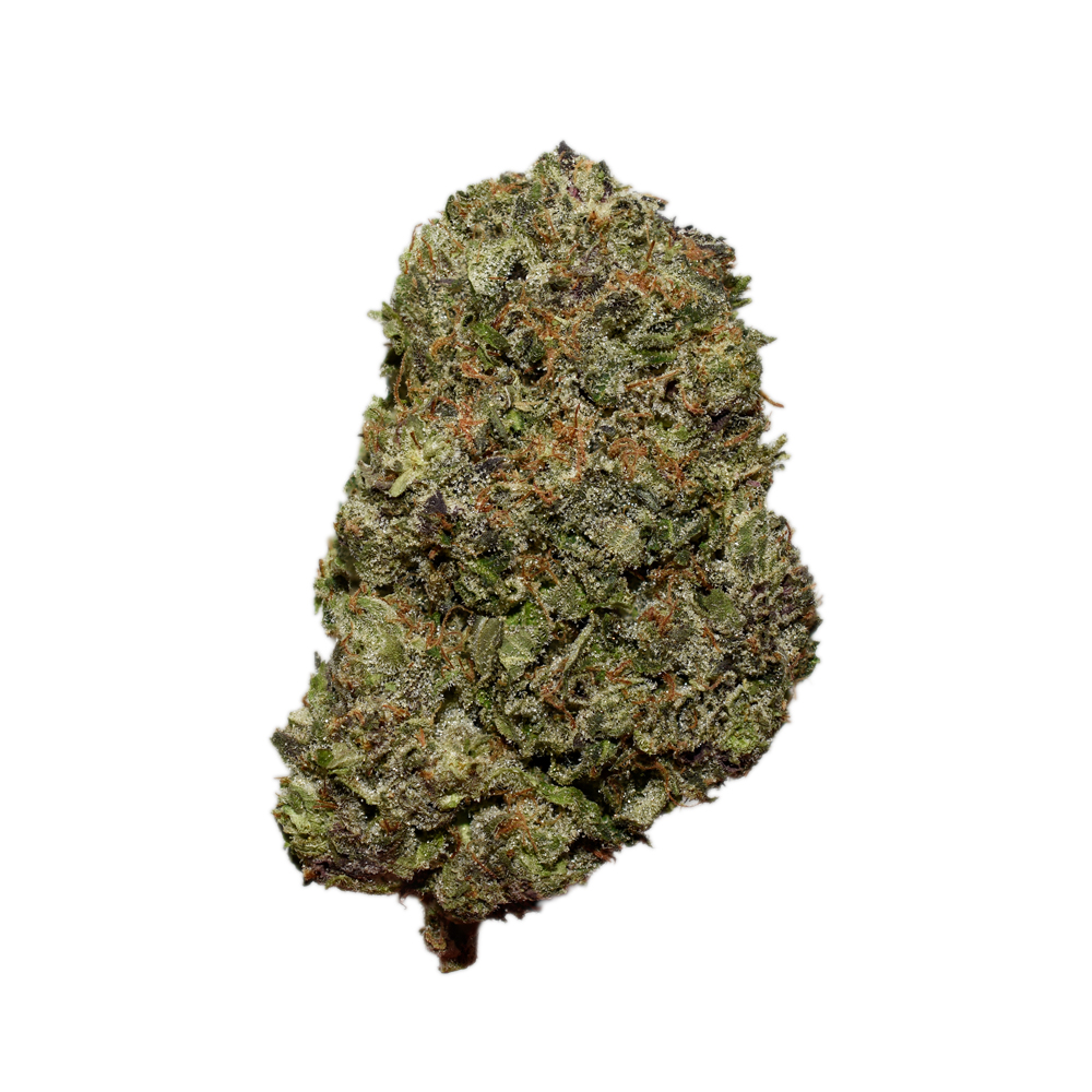 SFV OG AAAA SFV OG AAAA