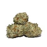 White Rhino Popcorn AAAA