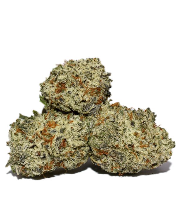 White Rhino Popcorn AAAA