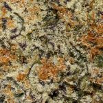 Cookies & Dream AAAA Trichomes