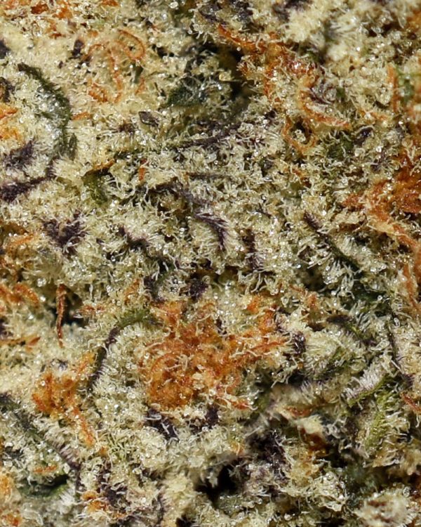Cookies & Dream AAAA Trichomes