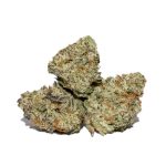 Gelato Mintz Popcorn AAAA