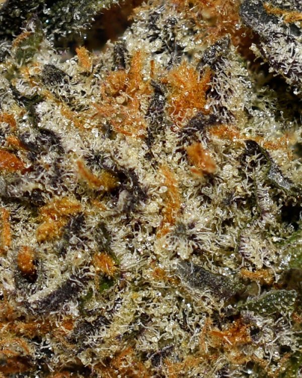 Mochi AAAA+ Trichomes