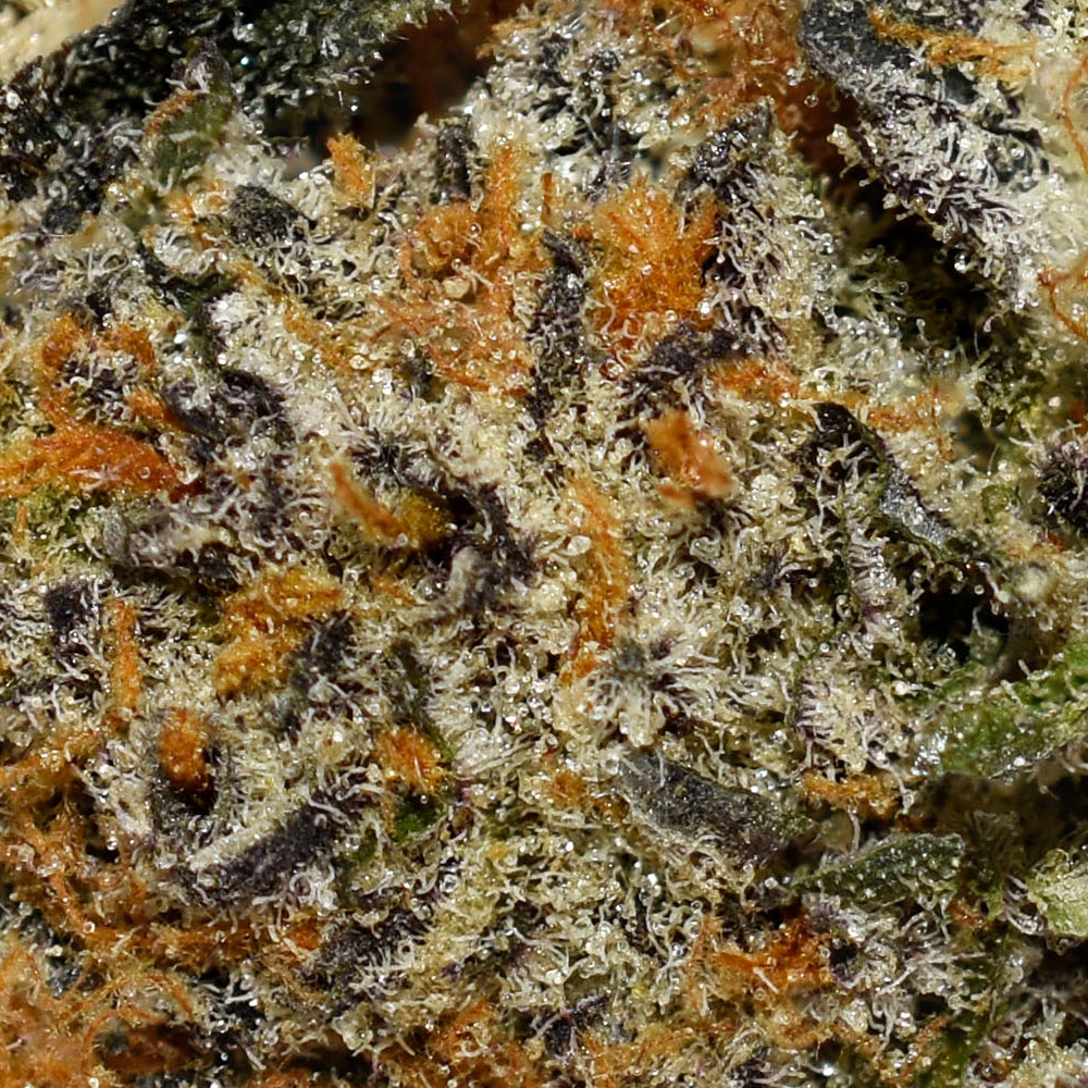 Mochi AAAA+ Trichomes