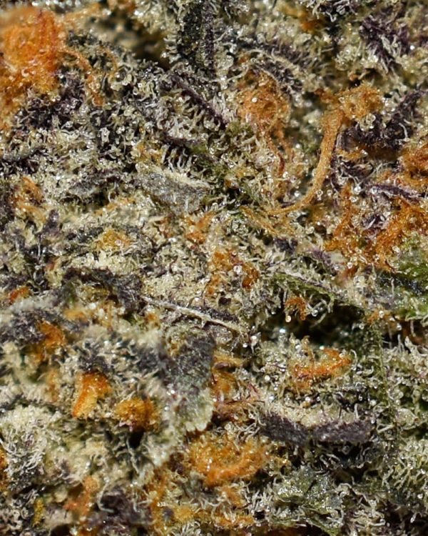 Raspberry Skywalker AAAA+ Trichomes