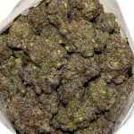 Blueberry Kush AAAA+ Bag