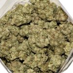 Chemo AA Bag