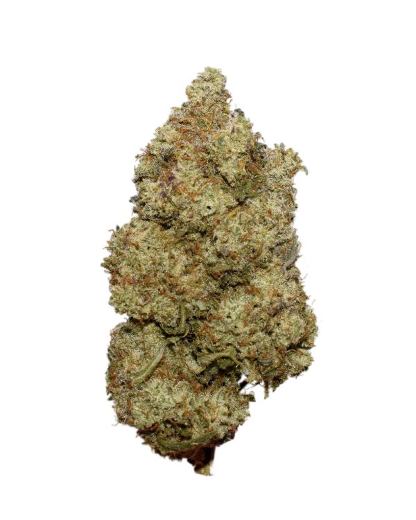 Grease Monkey AA