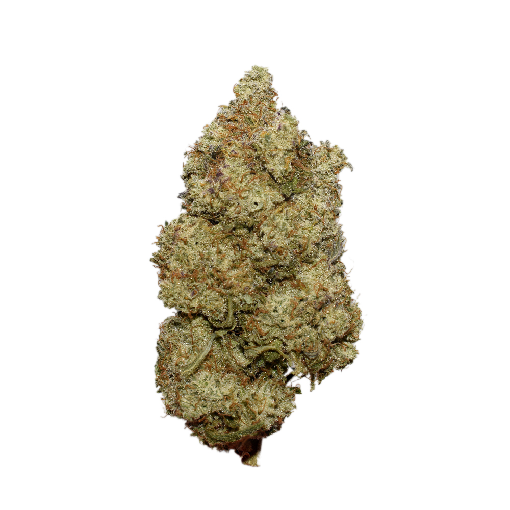 Grease Monkey AA