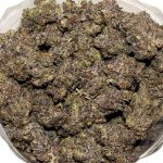 Blackberry Cheesecake AAAA+ Bag