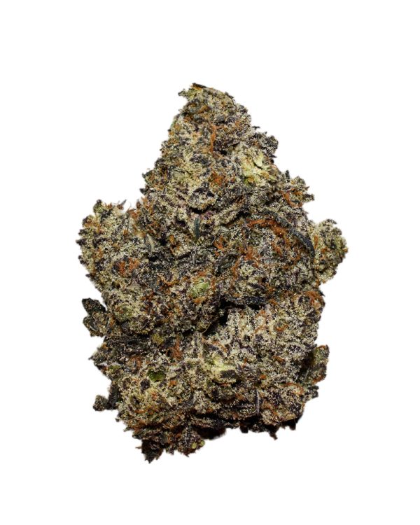 Critical Purple AAAA+