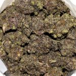 Critical Purple AAAA+ Bag