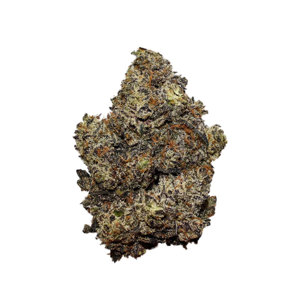 Critical Purple AAAA+ Critical Purple AAAA+