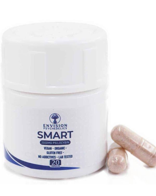 ENVISION SMART