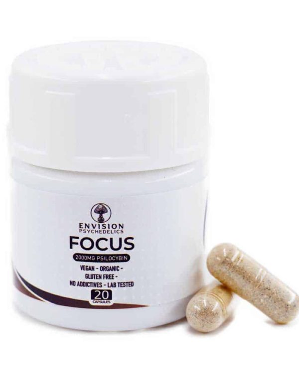 envision focus