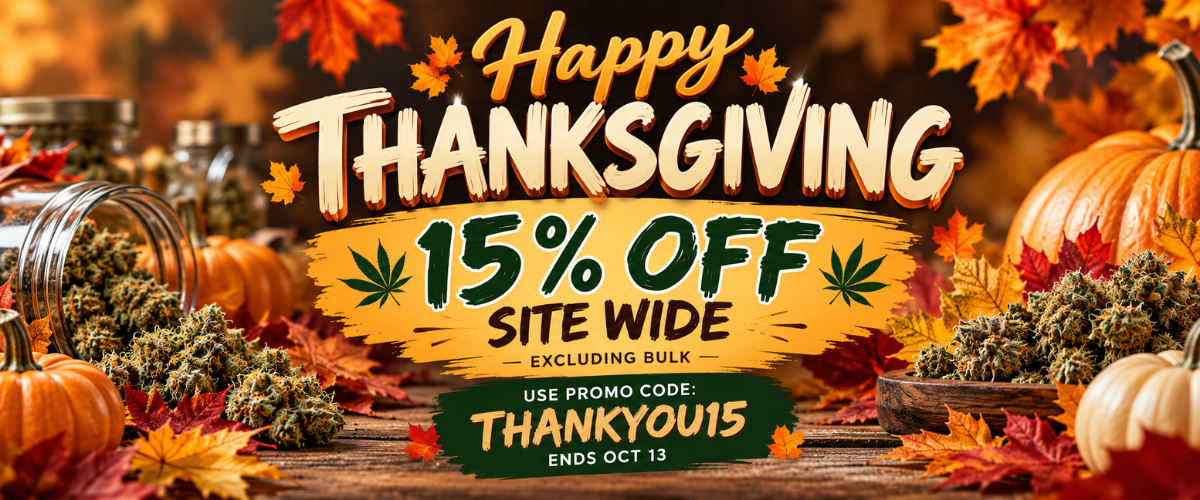 thanksgiving promo